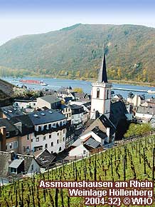 Assmannshausen am Rhein, Weinlage Höllenberg